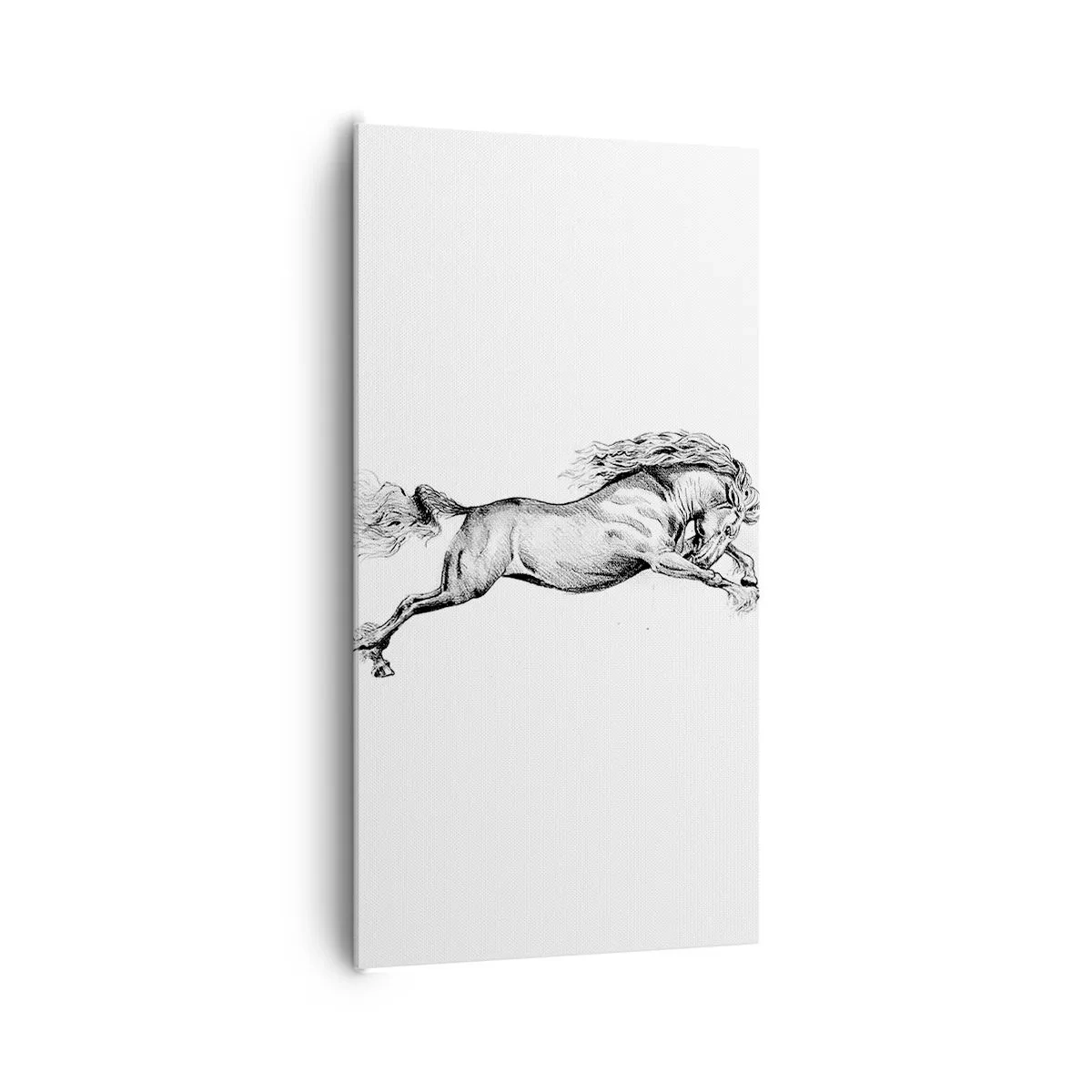 Bild auf Leinwand - Leinwandbild - Im Galopp festgehalten - 65x120 cm