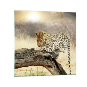 Glasbild - Bild auf glas - Ich gehe meine eigenen Wege - 30x30 cm