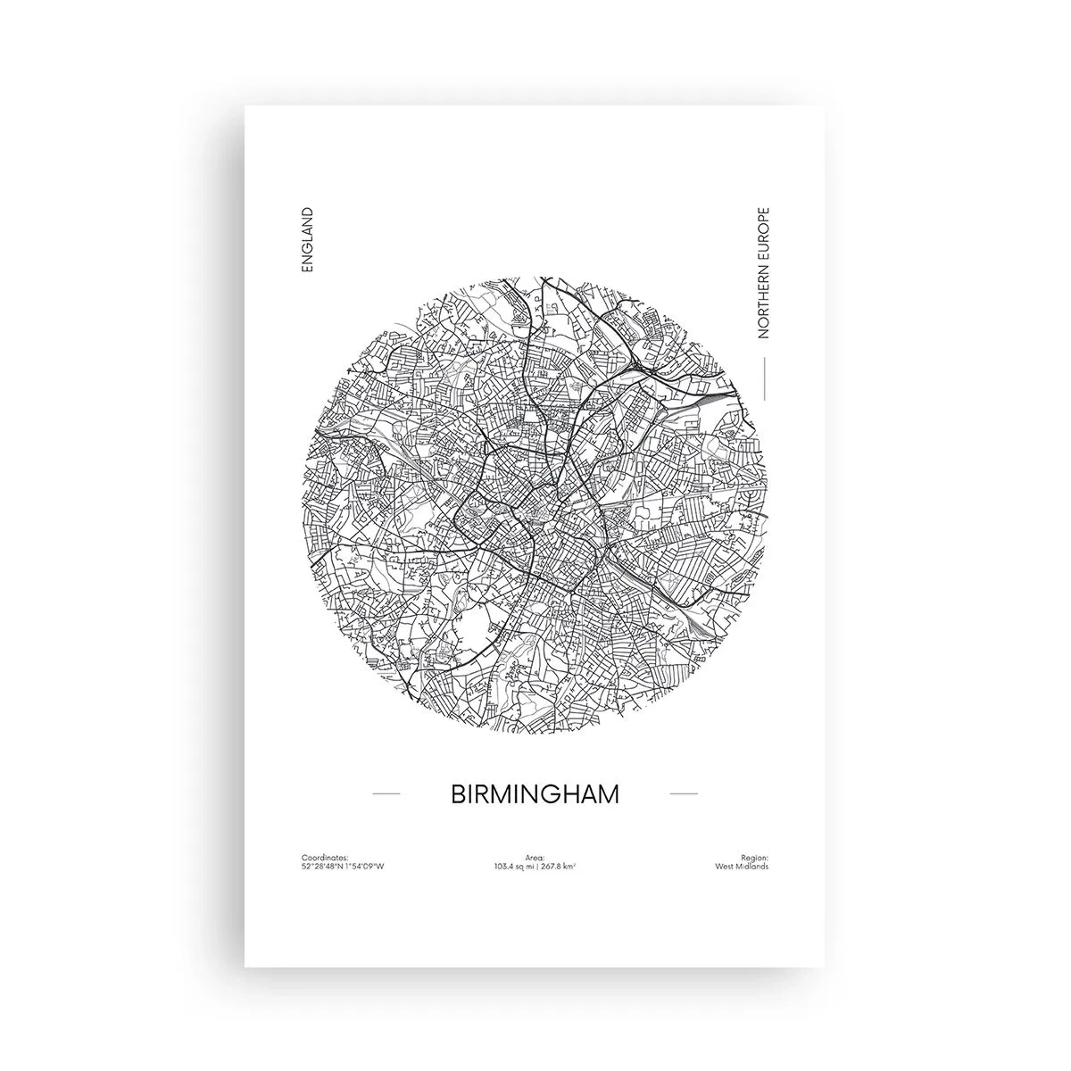 Poster - Anatomie von Birmingham - 61x91 cm