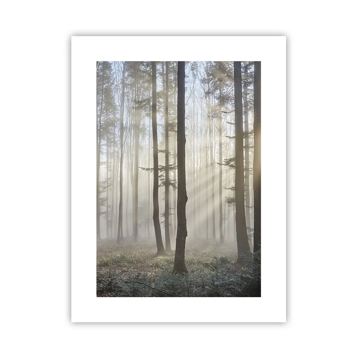 Poster - Der Nebel ist auch aufgewacht - 30x40 cm