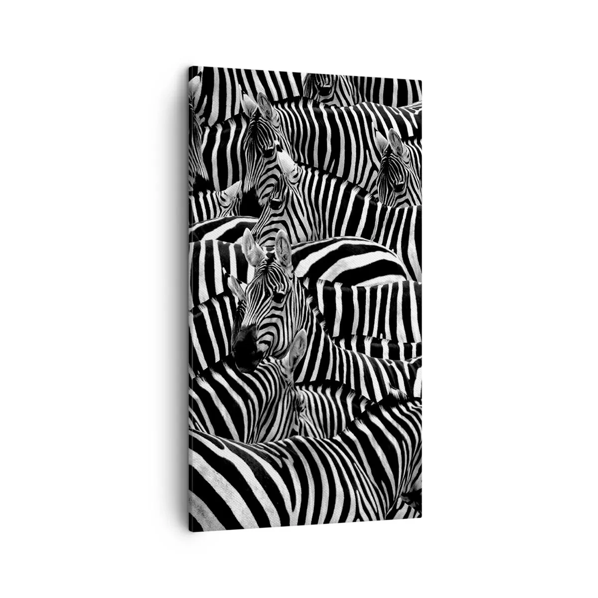 Bild auf Leinwand - Leinwandbild - Gestreiftes Gruppenportrait - 45x80 cm