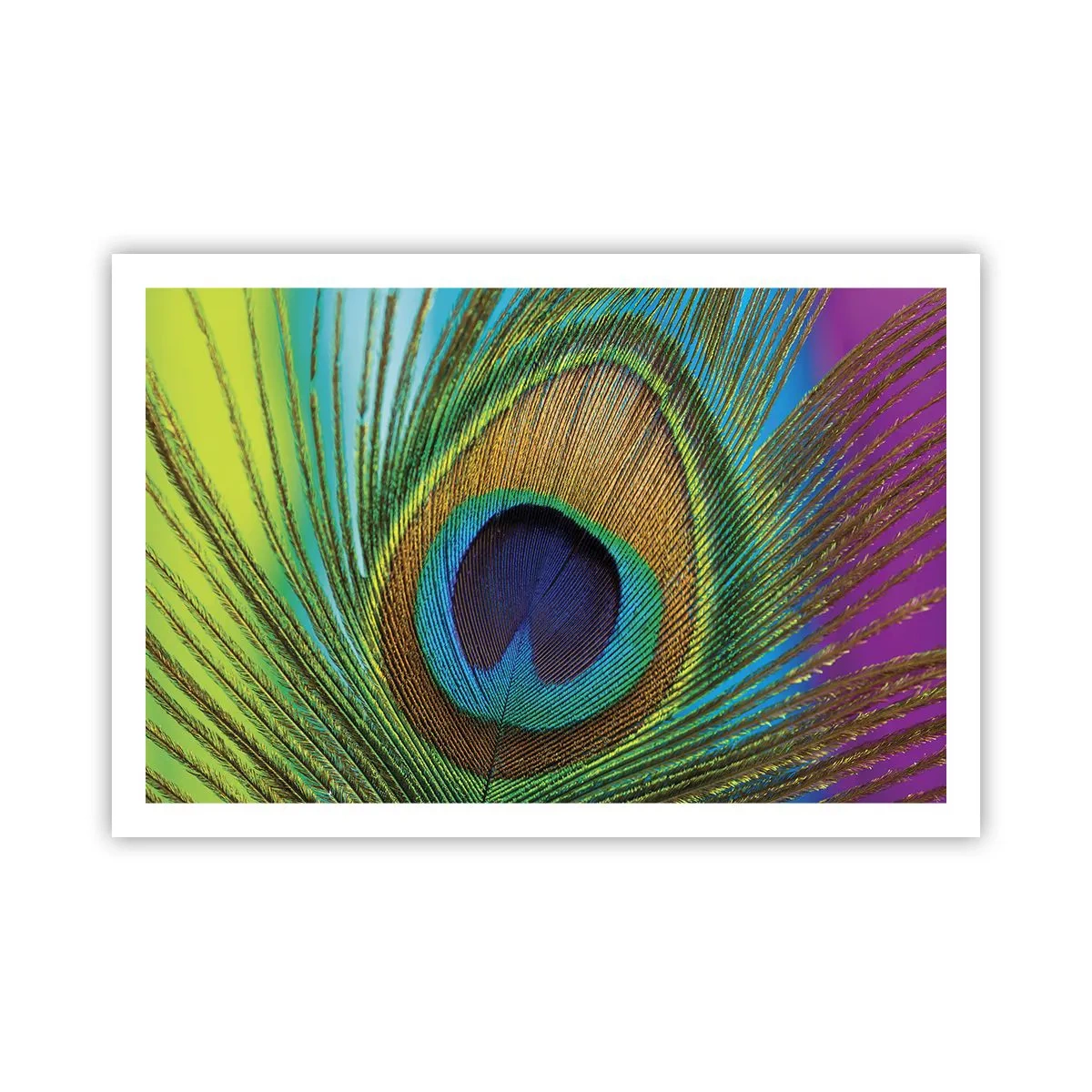 Poster - Auge in Auge - 91x61 cm