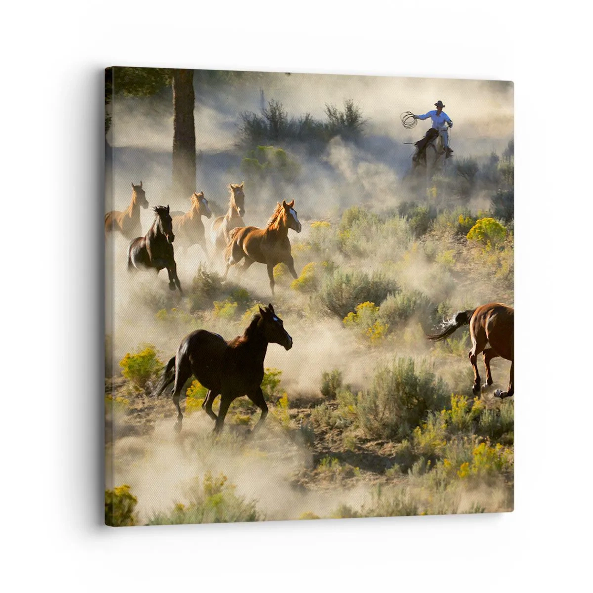 Bild auf Leinwand - Leinwandbild - Rivalität – Freiheit oder männliche Stärke? - 30x30 cm