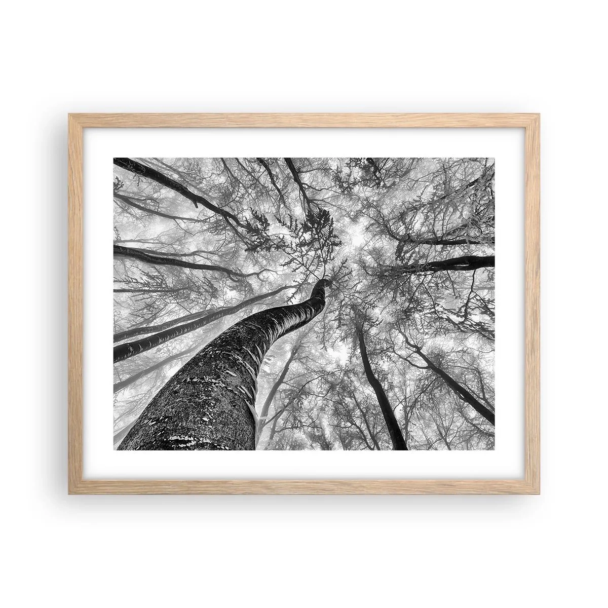 Poster in einem Rahmen aus heller Eiche - Rennen zum Licht - 50x40 cm