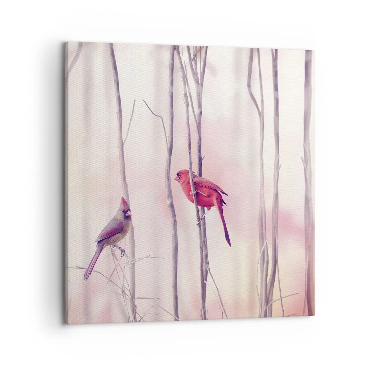 Bild auf Leinwand - Leinwandbild - Geschichte vom rosa Wald - 50x50 cm