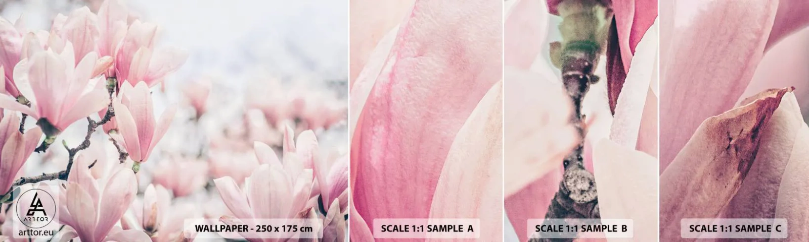 Fototapetenmuster Standard Eco - Das Ideal der Subtilität - Magnolie, Blumen, Magnolienbaum - 100x30 cm