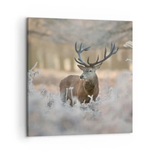 Bild auf Leinwand - Leinwandbild - Ein flotter Morgen - 50x50 cm