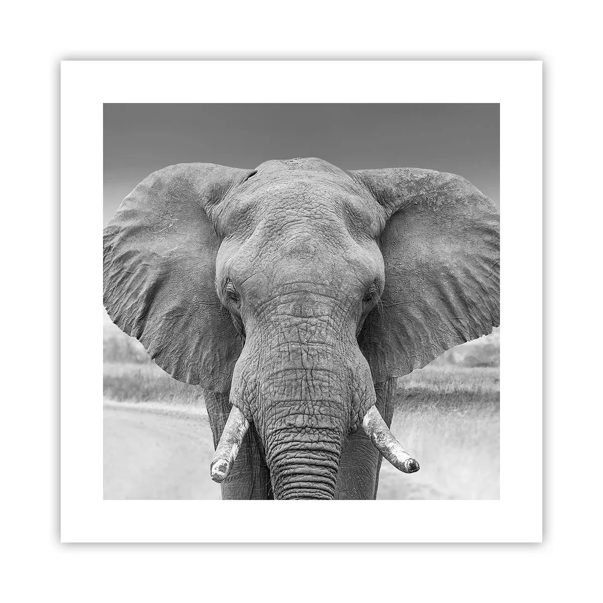 Poster - Willkommen in meiner Welt - 40x40 cm