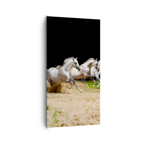 Bild auf Leinwand - Leinwandbild - Drei Grazien - 65x120 cm