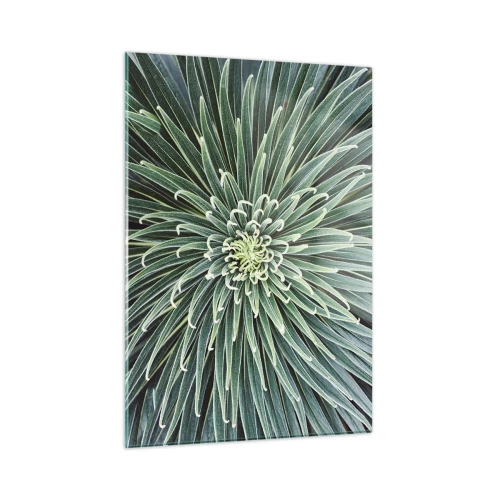 Glasbild - Bild auf glas - Symmetrische Rosette aus grünen Blättern in der Makrofotografie - 50x70cm - Ein Star ist geboren - Moderne Wanddekoration für Wohnzimmer und Schlafzimmer ARTTOR