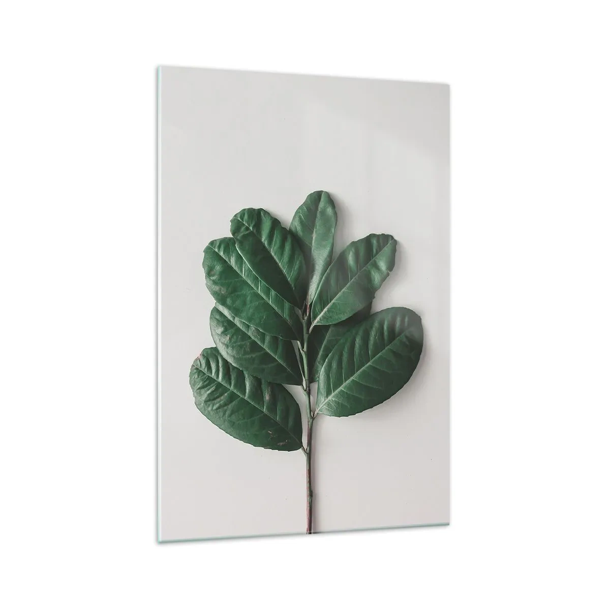 Glasbild - Bild auf glas - Ein Zweig grüner Blätter auf hellem Hintergrund - 70x100cm - Eine Zeichnung purer Natur - Moderne Wanddekoration für Wohnzimmer und Schlafzimmer ARTTOR