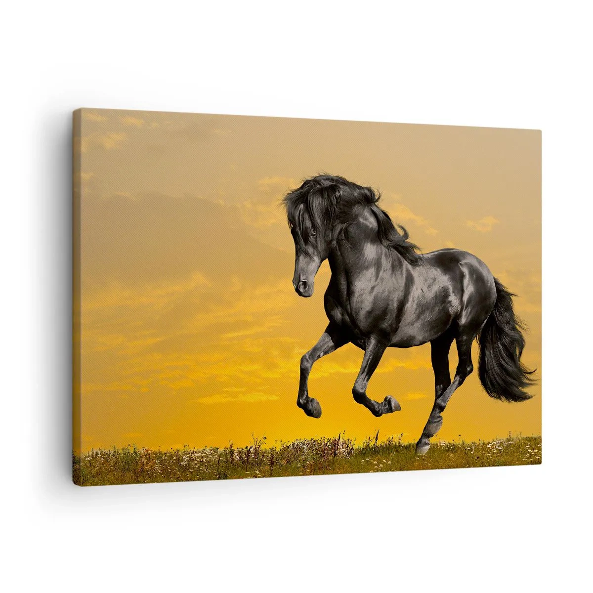 Bild auf Leinwand - Leinwandbild - Ein schwarzes Pferd galoppiert vor dem Hintergrund eines goldenen Sonnenuntergangs. - 70x50cm - Schön, frei und wild - Moderne Wanddekoration für Wohnzimmer und Schlafzimmer ARTTOR