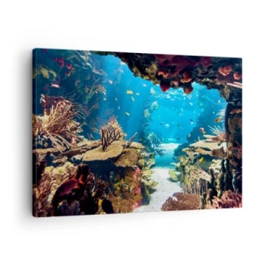 Bild auf Leinwand - Leinwandbild - Unterwasserwelt mit Korallenriff und Fischen - 70x50cm - Du hast es noch nicht einmal geträumt - Moderne Wanddekoration für Wohnzimmer und Schlafzimmer ARTTOR