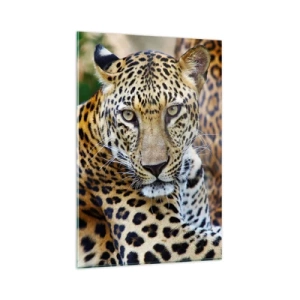 Glasbild - Bild auf glas - Jaguar ruht in natürlicher Umgebung vor grünem Hintergrund. - 80x120cm - Wild und ruhig - Moderne Wanddekoration für Wohnzimmer und Schlafzimmer ARTTOR