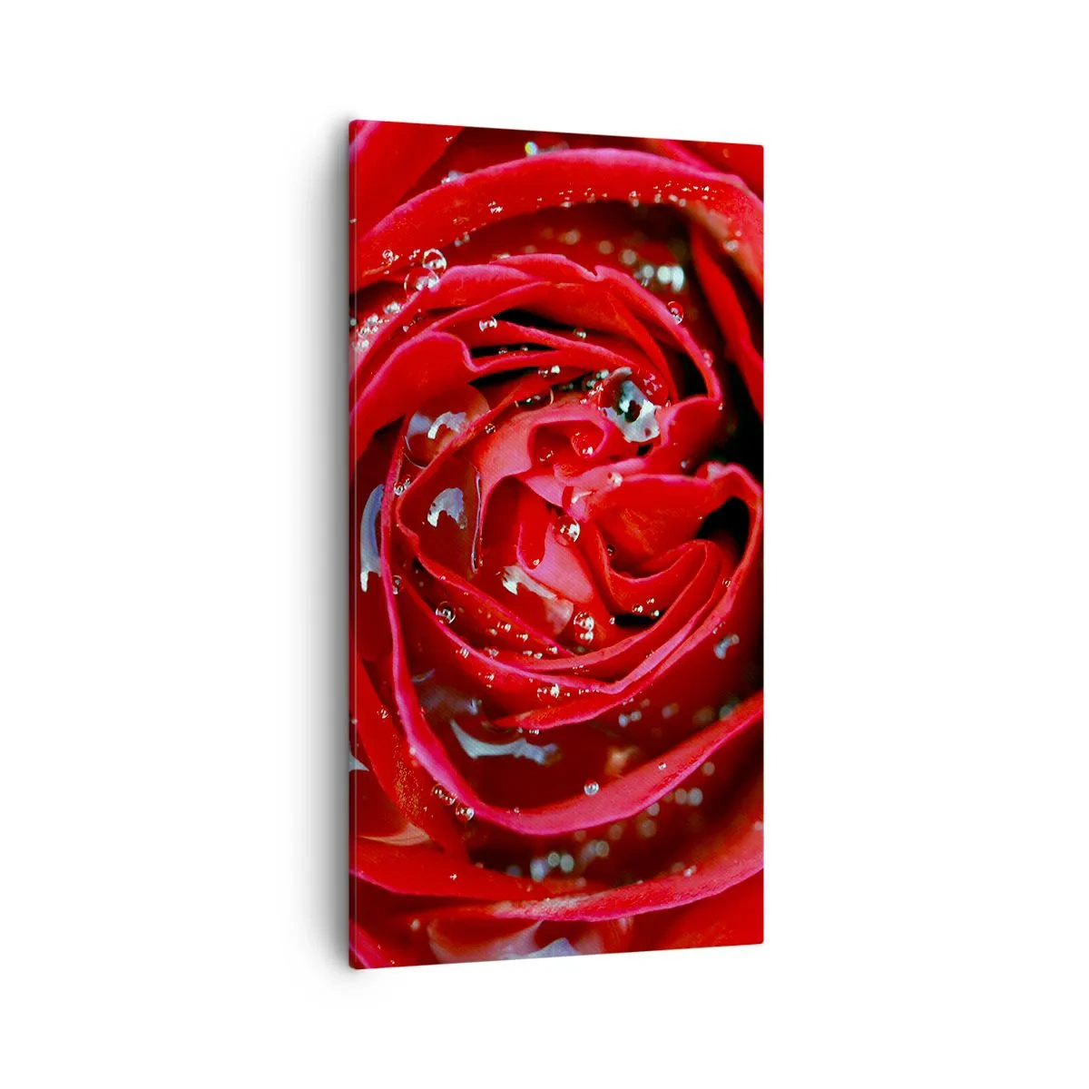 Bild auf Leinwand - Leinwandbild - In den Tautropfen - 55x100 cm