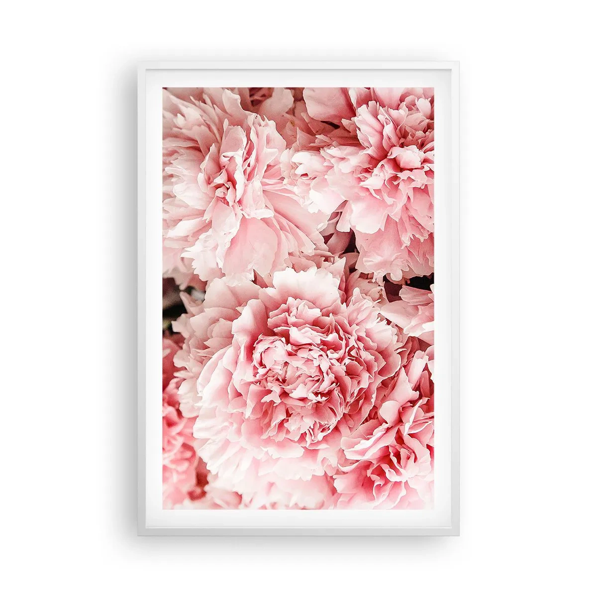 Poster in einem weißen Rahmen - Rosa Traum - 61x91 cm