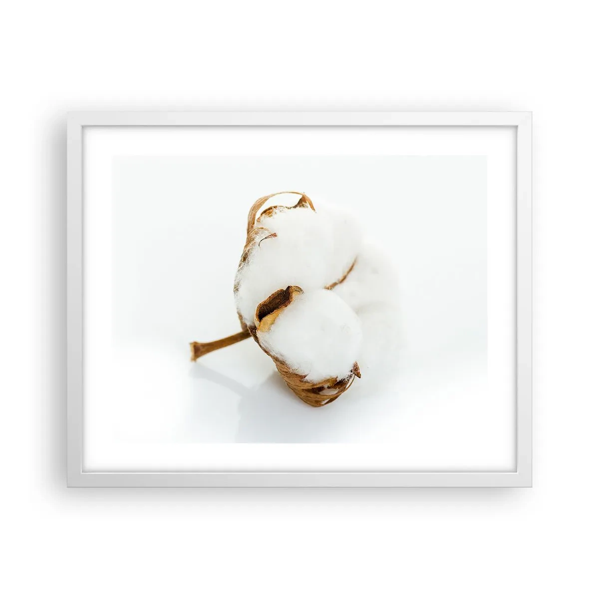 Poster in einem weißen Rahmen - Von Natur aus weich - 50x40 cm
