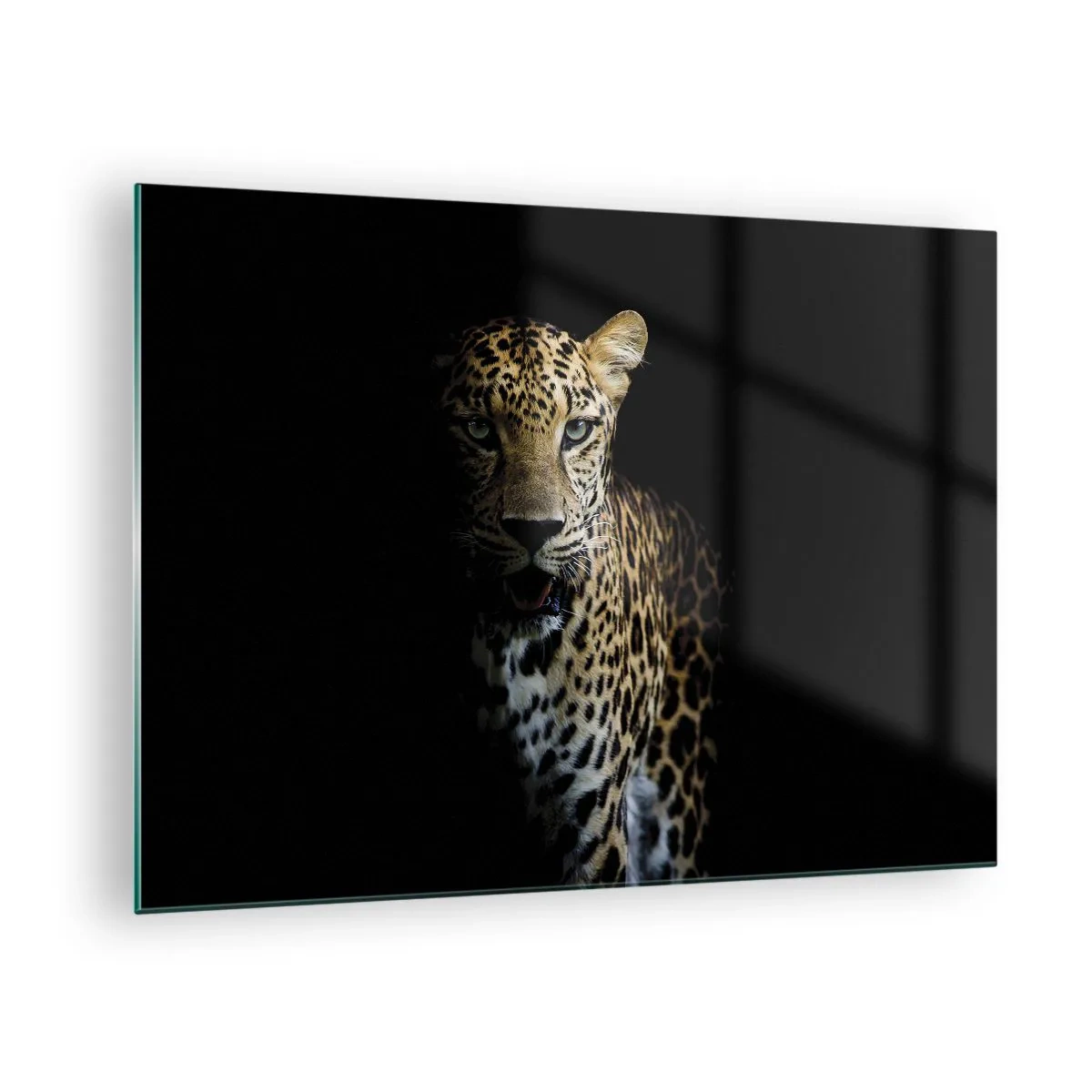 Glasbild - Bild auf glas - Löwe im Schatten - 70x50cm - Dunkle Schönheit - Moderne Wanddekoration für Wohnzimmer und Schlafzimmer ARTTOR