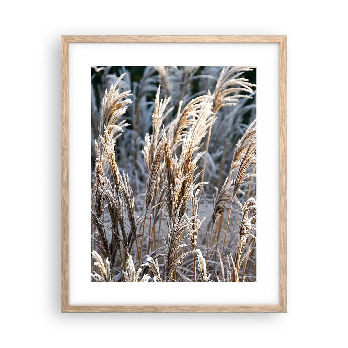 Poster in einem Rahmen aus heller Eiche - Gekleidet mit Frost - 40x50 cm