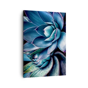 Bild auf Leinwand - Leinwandbild - Agave in Blau- und Grüntönen mit rosa Akzenten - 50x70cm - Lebenskraft - Moderne Wanddekoration für Wohnzimmer und Schlafzimmer ARTTOR