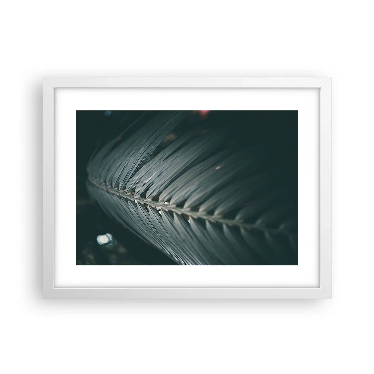 Poster in einem weißen Rahmen - Die Präzision der Natur - 40x30 cm