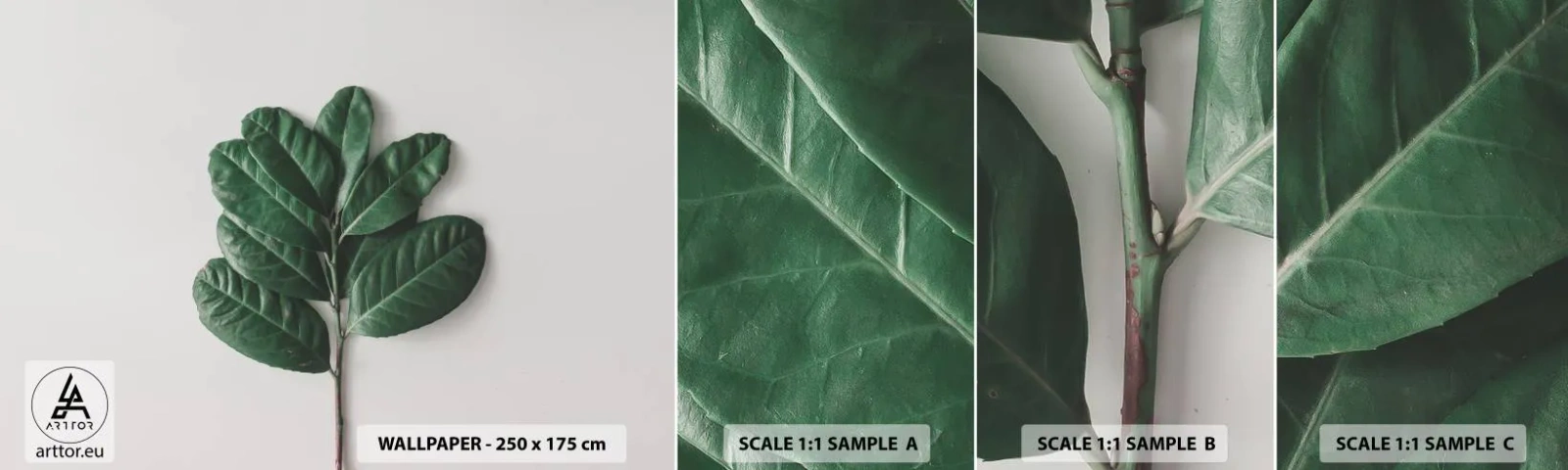 Fototapetenmuster Standard Eco - Eine Zeichnung purer Natur - Blätter, Anlage, Natur - 100x30 cm