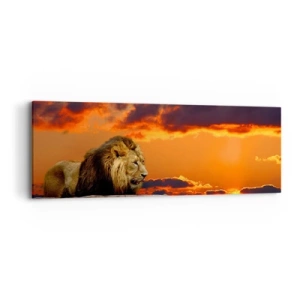 Bild auf Leinwand - Leinwandbild - König der Natur - 90x30 cm