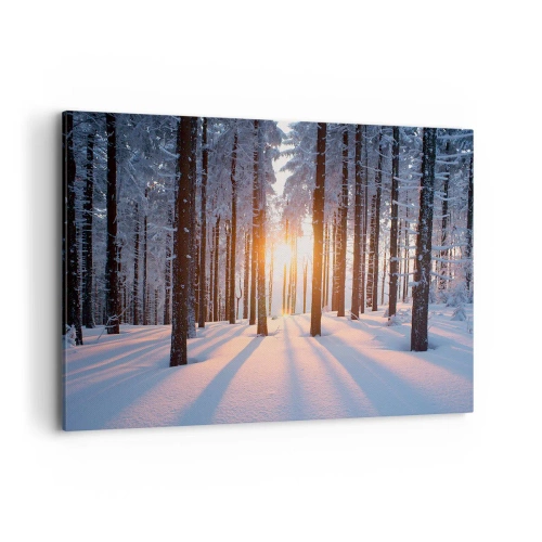 Bild auf Leinwand - Leinwandbild - Winterwald, beleuchtet von den Sonnenstrahlen - 100x70cm - Ganz klar schwarz auf weiß - Moderne Wanddekoration für Wohnzimmer und Schlafzimmer ARTTOR