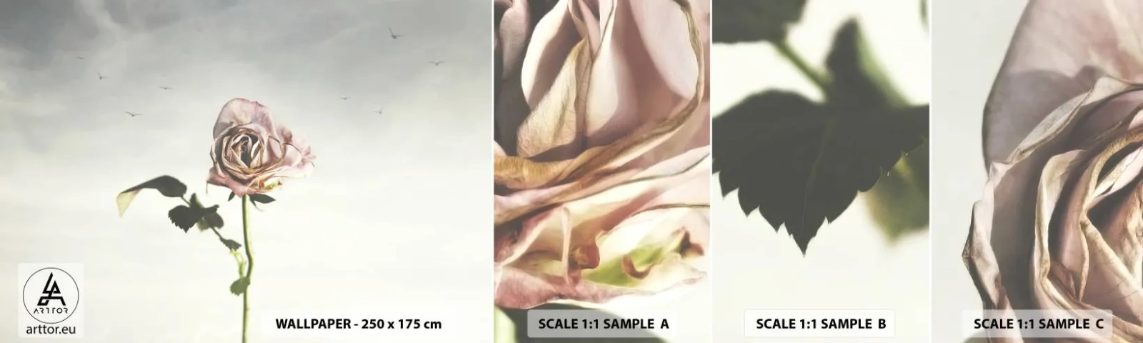 Fototapeten Muster Selbstklebend Deluxe Sticker - Begrüßung des Frühlings - Rose, Blume, Stück - 100x30 cm