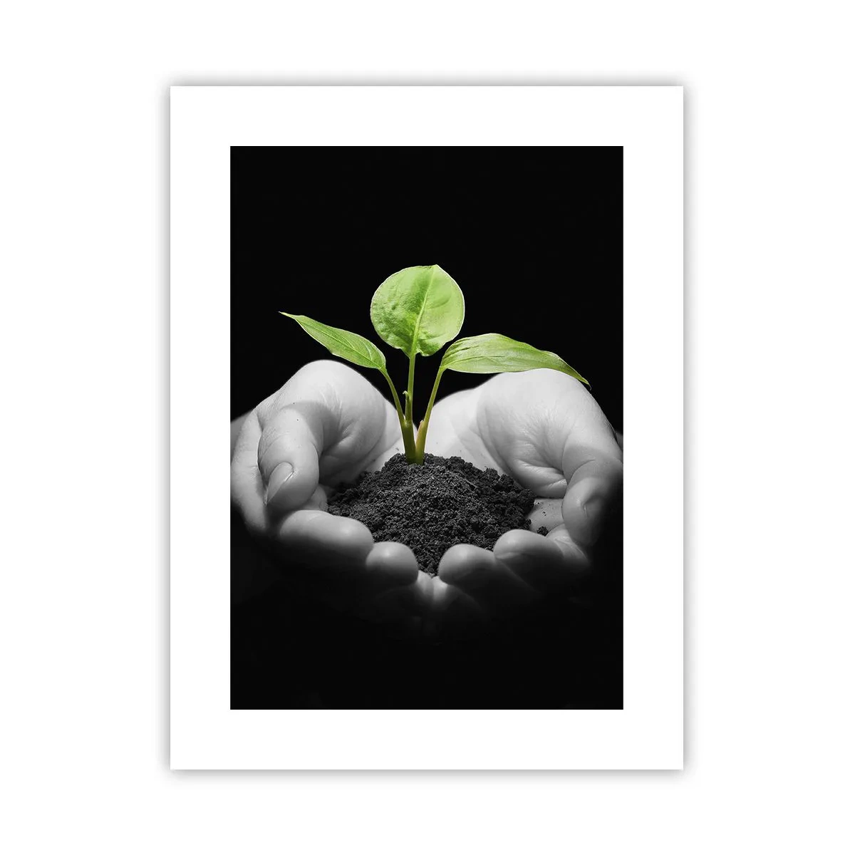 Poster - Ich liebe die Natur, ich beschütze sie - 30x40 cm