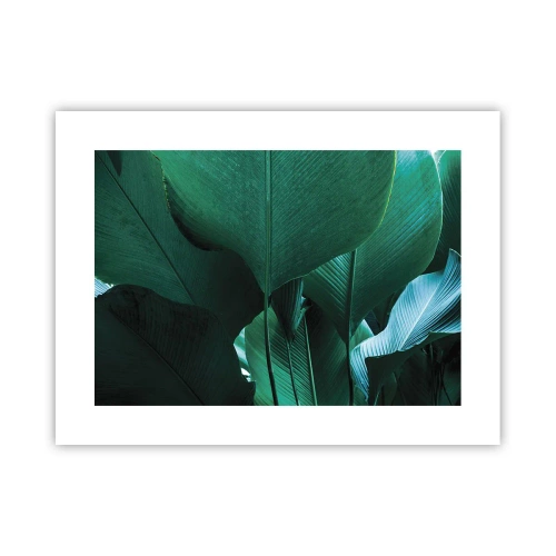 Poster - Dem Licht zugewandt - 40x30 cm