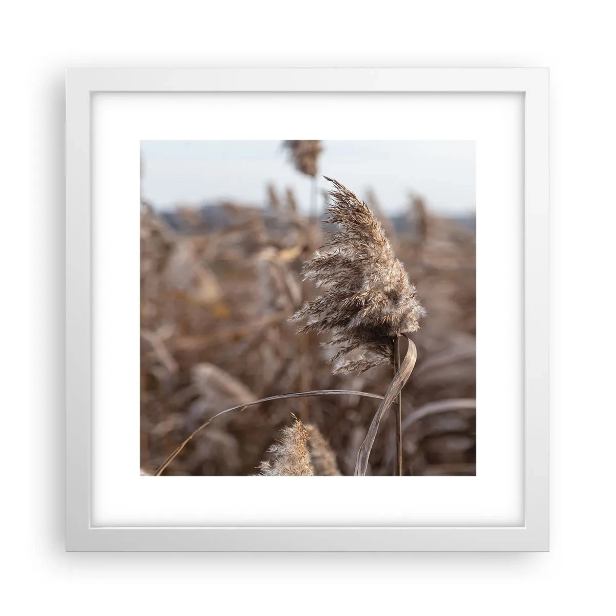 Poster in einem weißen Rahmen - Zeit, mit dem Wind zu gehen - 30x30 cm