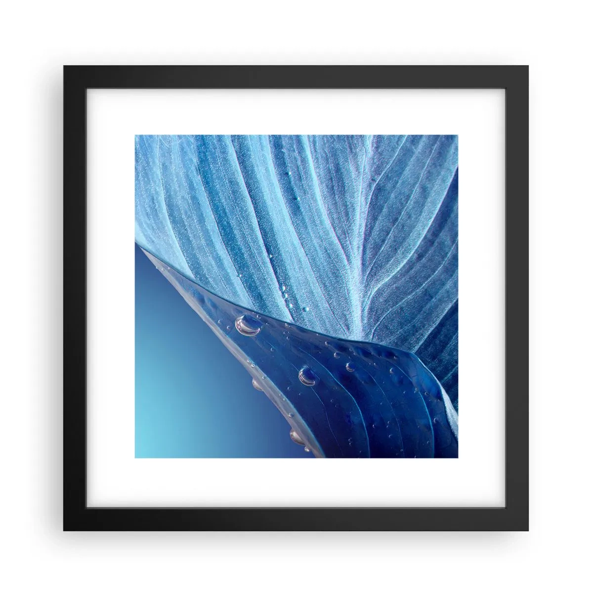 Poster in einem schwarzem Rahmen - Versteckte Tropfen vom Blau - 30x30 cm