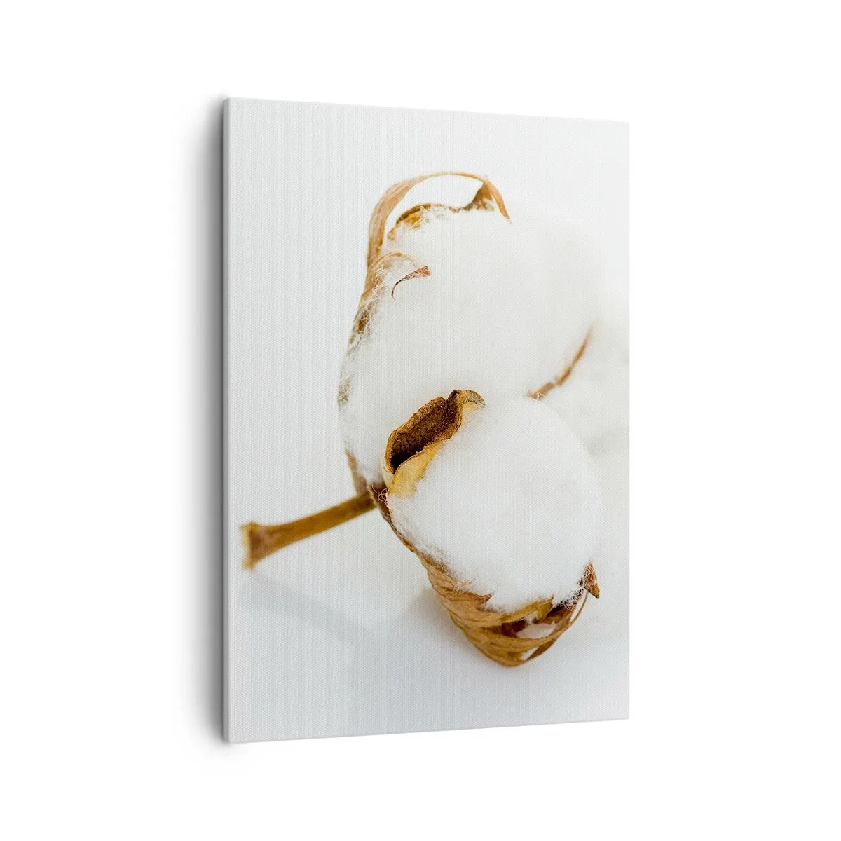 Bild auf Leinwand - Leinwandbild - Ein Baumwollzweig auf hellem Hintergrund in minimalistischem Ansatz - 50x70cm - Von Natur aus weich - Moderne Wanddekoration für Wohnzimmer und Schlafzimmer ARTTOR