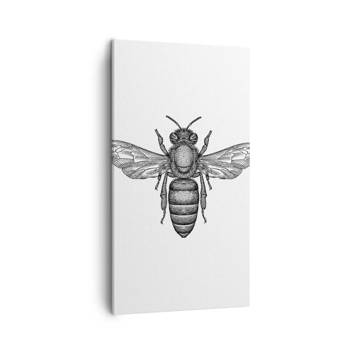 Bild auf Leinwand - Leinwandbild - Insektenporträt - 45x80 cm