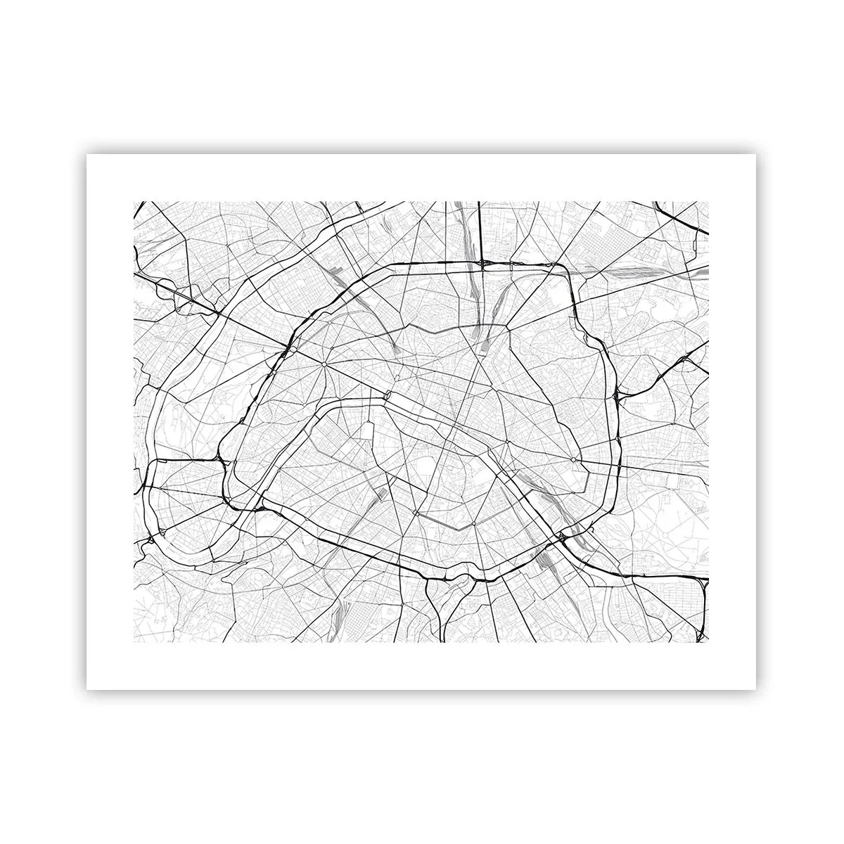 Poster - Pariser Blume - 50x40 cm