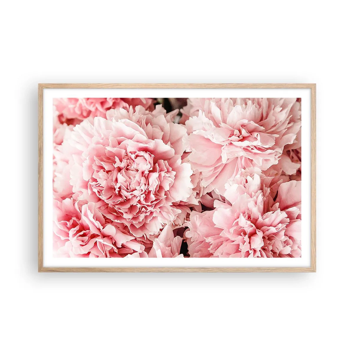 Poster in einem Rahmen aus heller Eiche - Rosa Traum - 91x61 cm