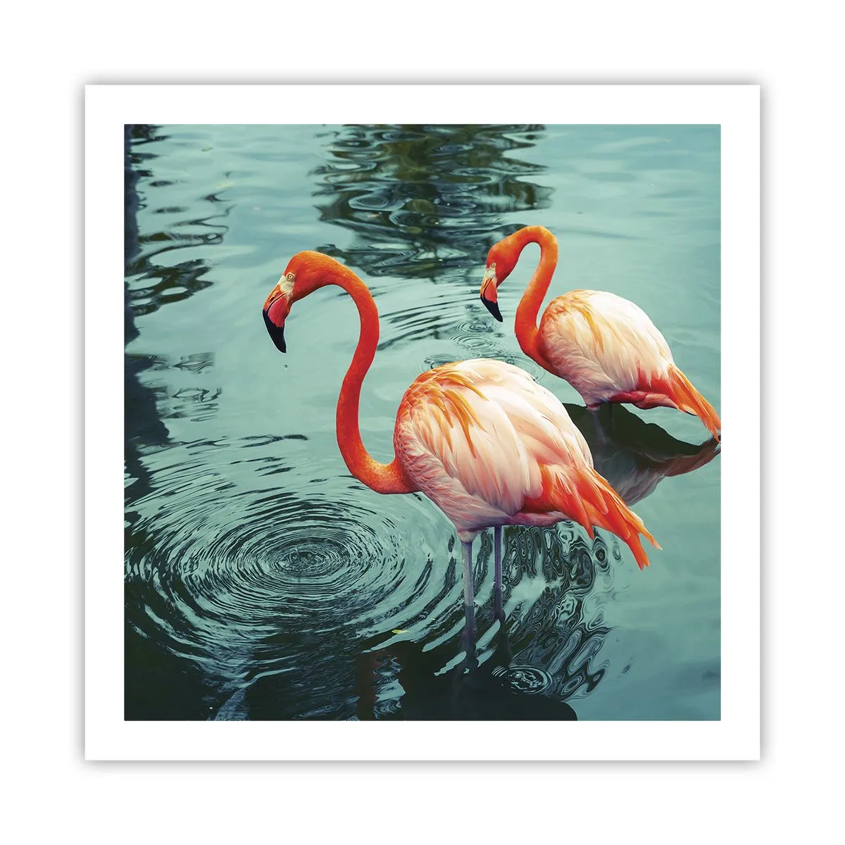 Poster - Wir sind jetzt in Mode - 60x60 cm