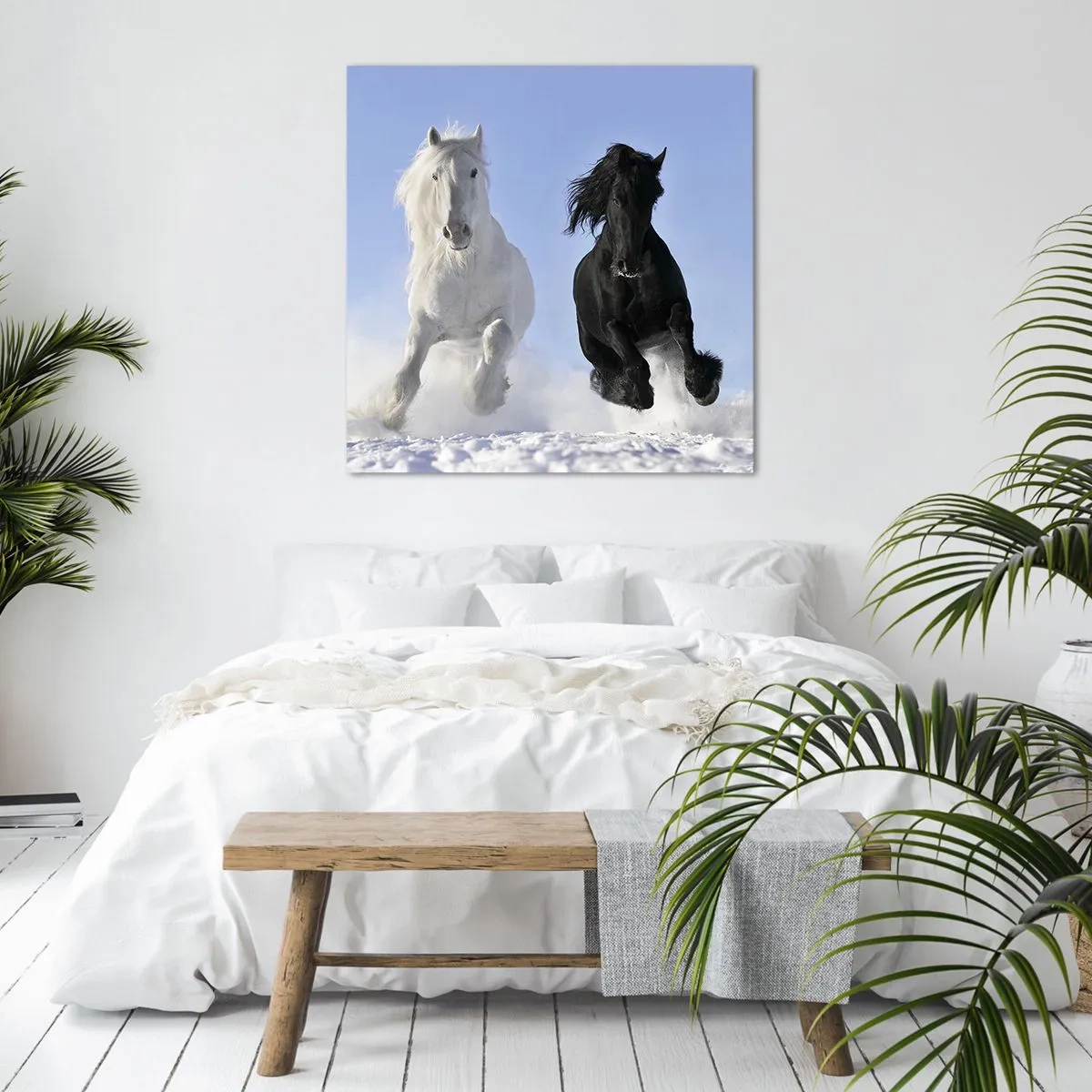 Bild auf Leinwand - Leinwandbild - Schwarz-Weiß-Galopp - 30x30 cm