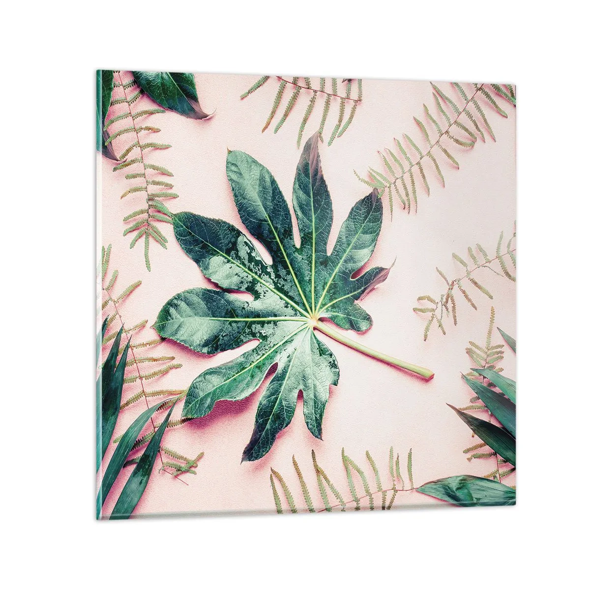 Glasbild - Bild auf glas - Eine Studie von Grün auf einem rosa Hintergrund - 50x50 cm