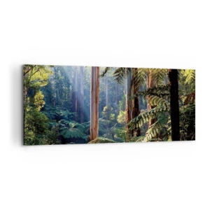 Bild auf Leinwand - Leinwandbild - Tropischer Wald, beleuchtet von den Sonnenstrahlen - 120x50cm - Ein Waldmärchen - Moderne Wanddekoration für Wohnzimmer und Schlafzimmer ARTTOR