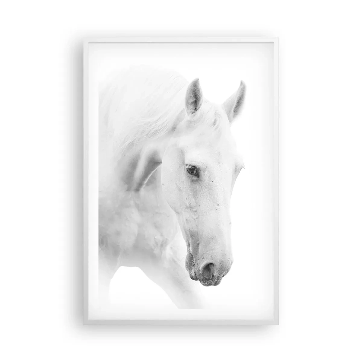 Poster in einem weißen Rahmen - Ist das Freundschaft...? - 61x91 cm