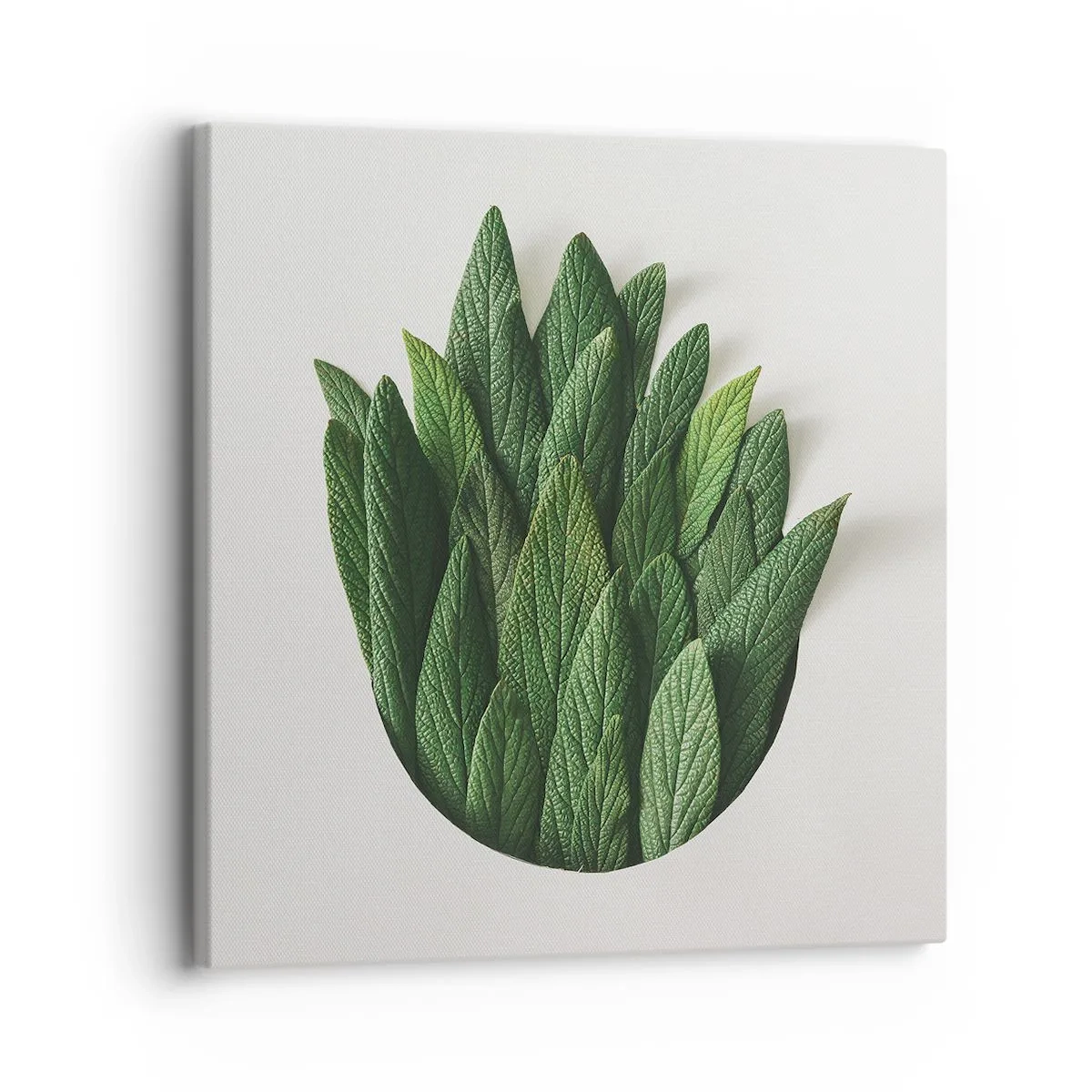 Bild auf Leinwand - Leinwandbild - Ungebremste Neugier - 30x30 cm