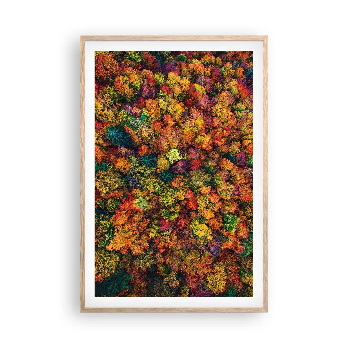 Poster in einem Rahmen aus heller Eiche - Blumenstrauß aus Herbstbäumen - 61x91 cm