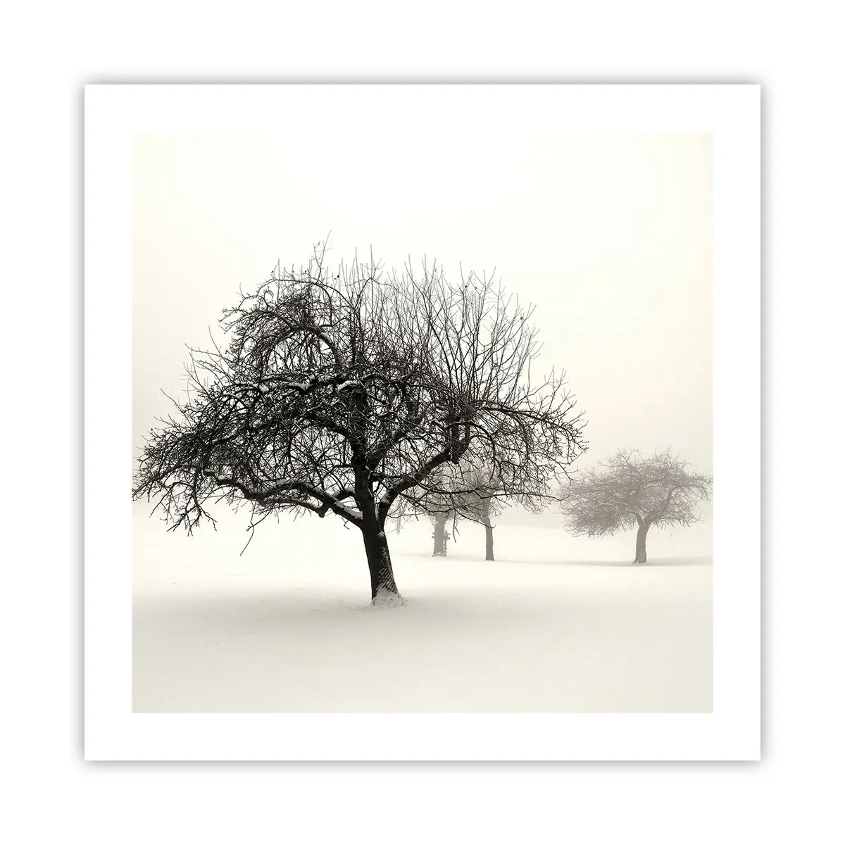 Poster - Winterschlaf - 50x50 cm