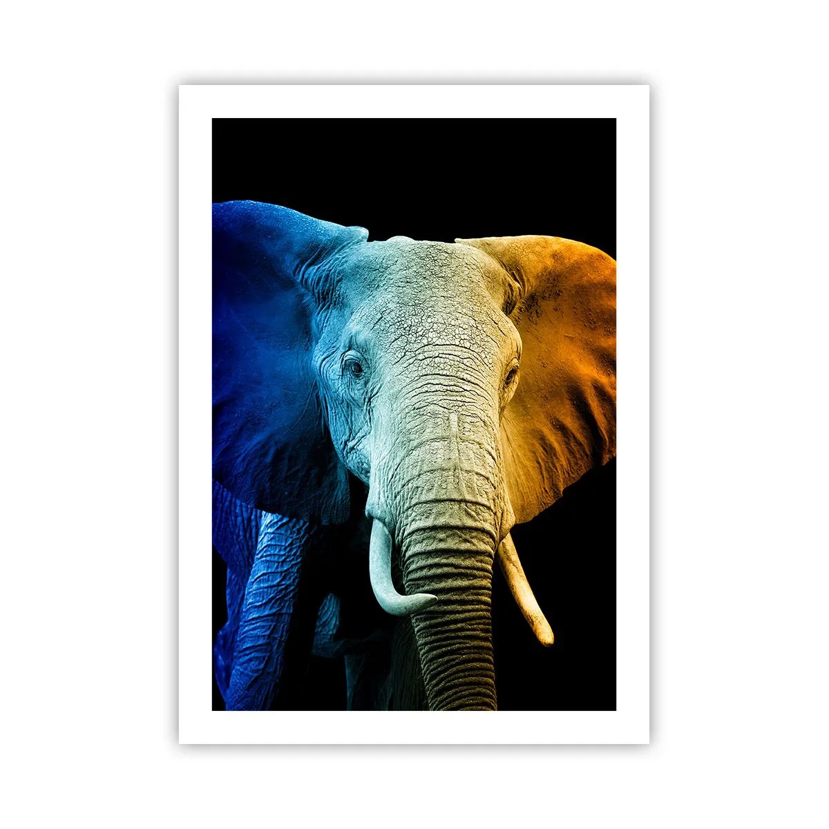 Poster - Ein buntes Bild eines Elefanten auf schwarzem Hintergrund - 50x70cm - Exzentrisch, kein Verrückter - Moderne Wanddekoration für Wohnzimmer und Schlafzimmer ARTTOR
