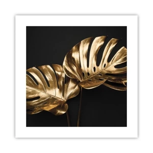 Poster - Die Schätze der Natur - 40x40 cm