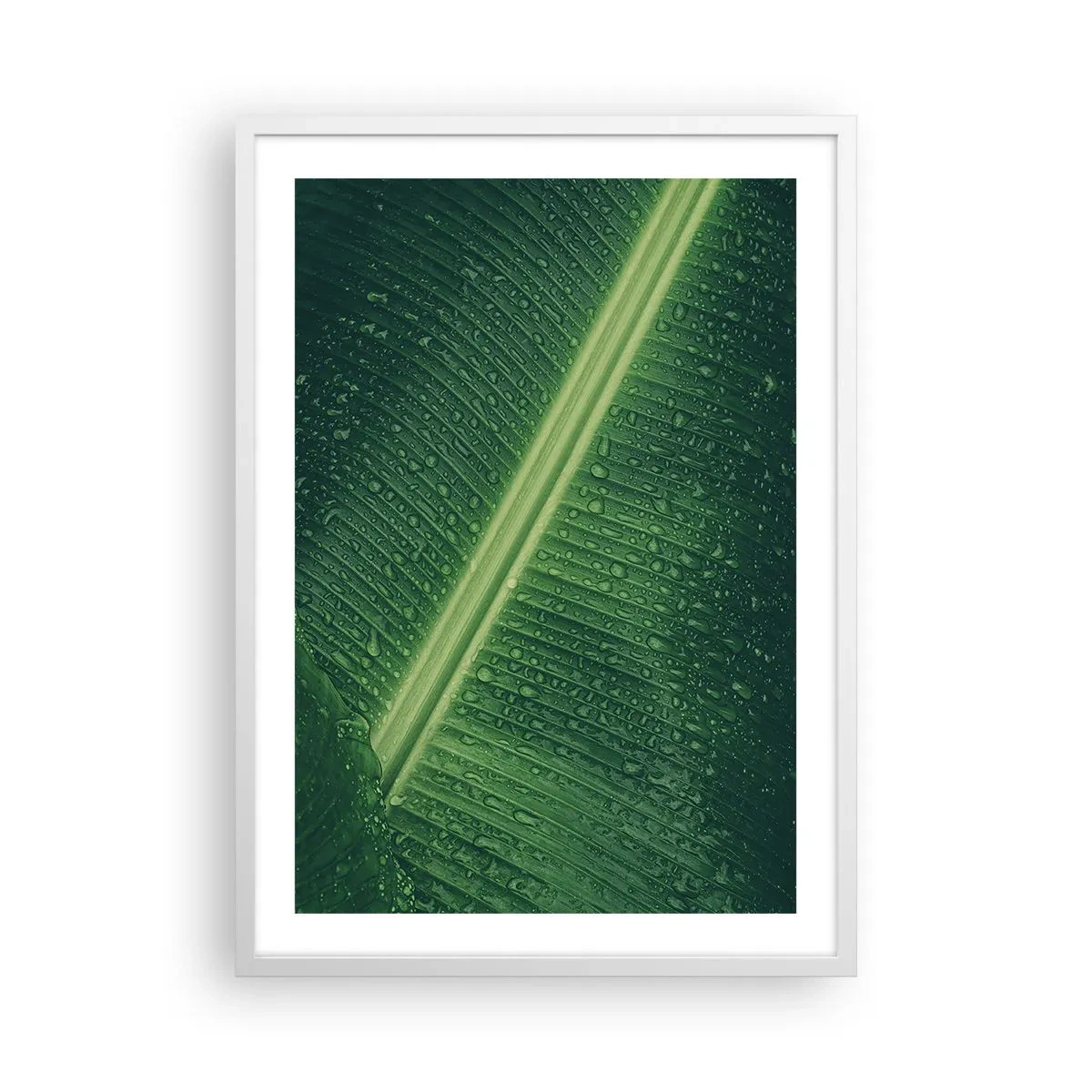Poster in einem weißen Rahmen - Die Struktur des Grüns - 50x70 cm