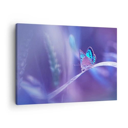 Bild auf Leinwand - Leinwandbild - Ein zarter blauer Schmetterling auf einem Stängel in violettem Licht - 70x50cm - Ein Juwel der Natur - Moderne Wanddekoration für Wohnzimmer und Schlafzimmer ARTTOR