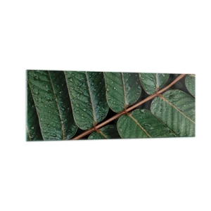 Glasbild - Bild auf glas - Makroaufnahme von grünen Blättern mit Tautropfen - 140x50cm - Im grünen Rhythmus - Moderne Wanddekoration für Wohnzimmer und Schlafzimmer ARTTOR